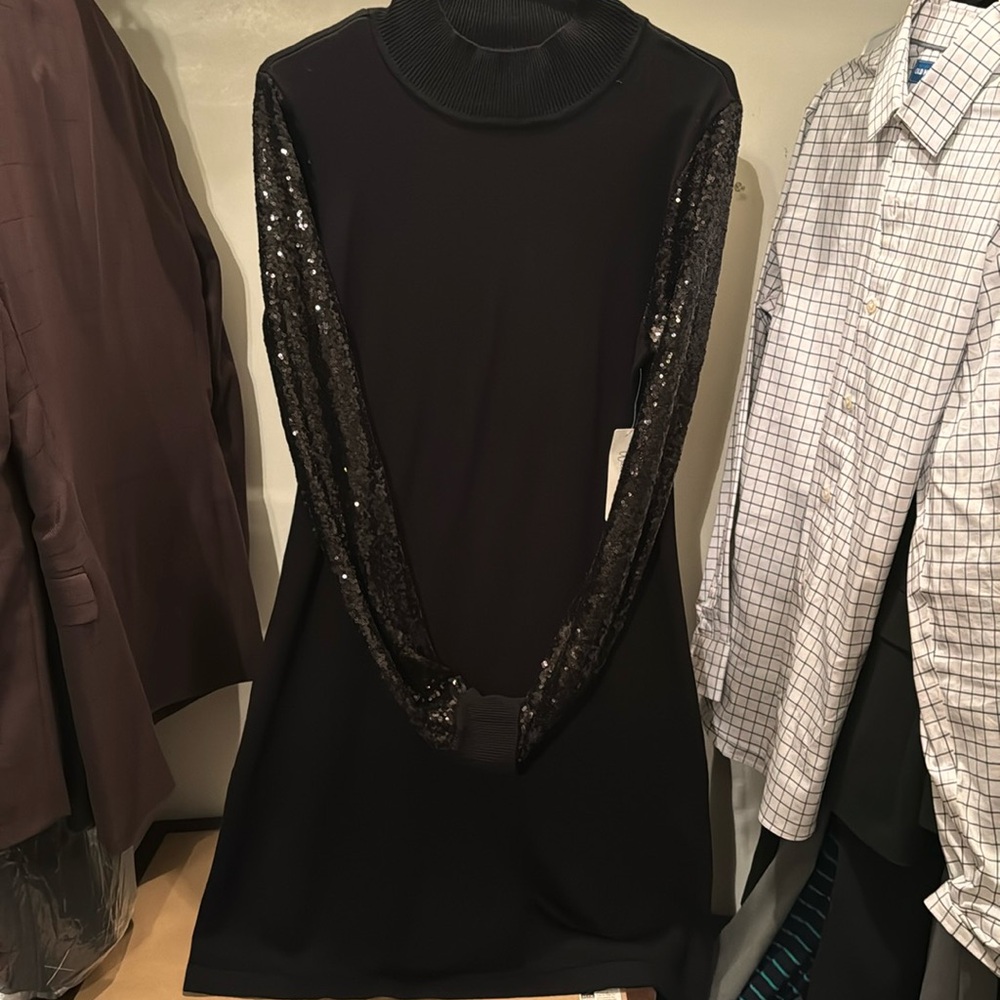 NWT Sweater Dress with sequin sleeve LARGE